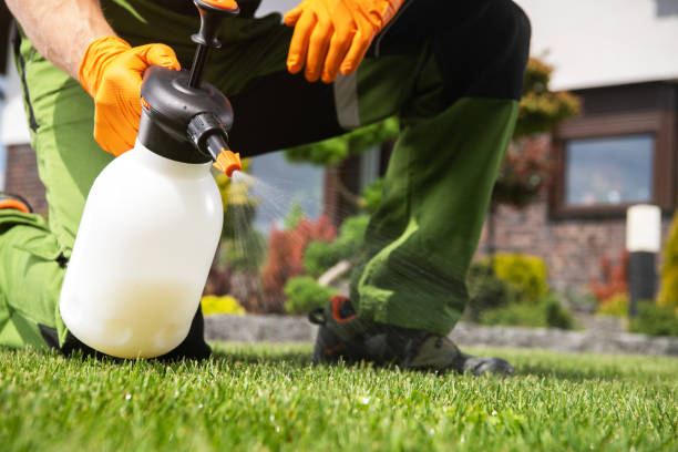 Insect Control in Manchester, VA