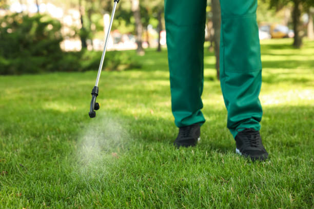 Best Ant Control Services  in Manchester, VA