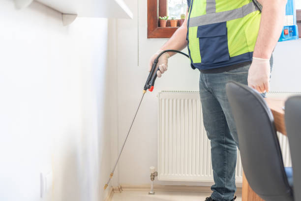 Flea Control Services in Manchester, VA