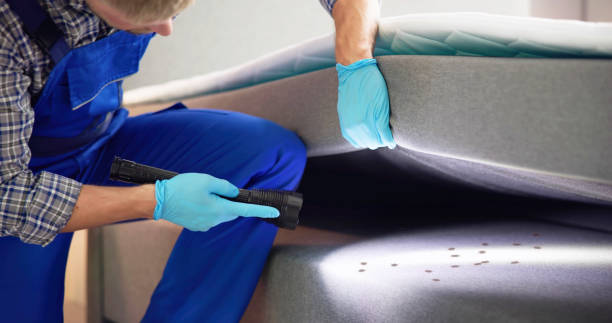 Best Wasp Removal Services  in Manchester, VA