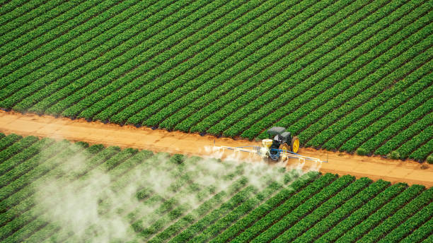 Best Mosquito Control Services  in Manchester, VA