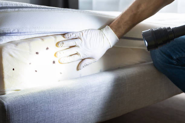 Best Best Pest Control Companies  in Manchester, VA