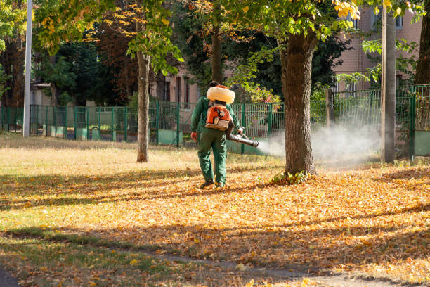 Wasp Removal Services in Manchester, VA